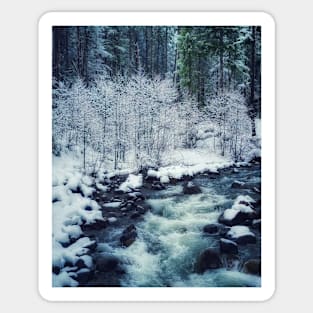 Rainier National Park Winter Sticker